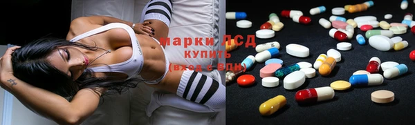 стафф Баксан