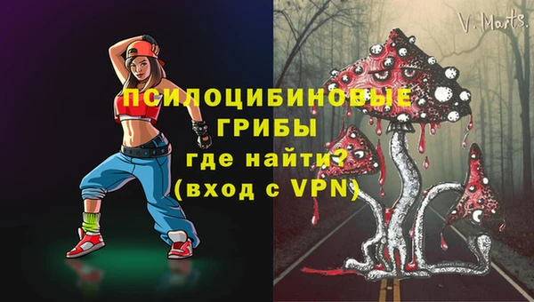 стафф Баксан